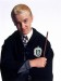 harry2.jpg